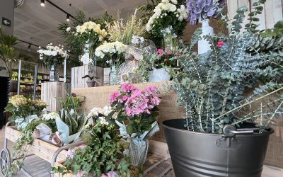 La teva floristeria a Premià i al Maresme