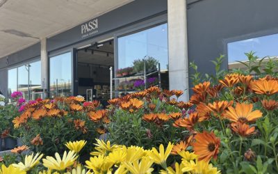 Per què Passi és més que un garden?