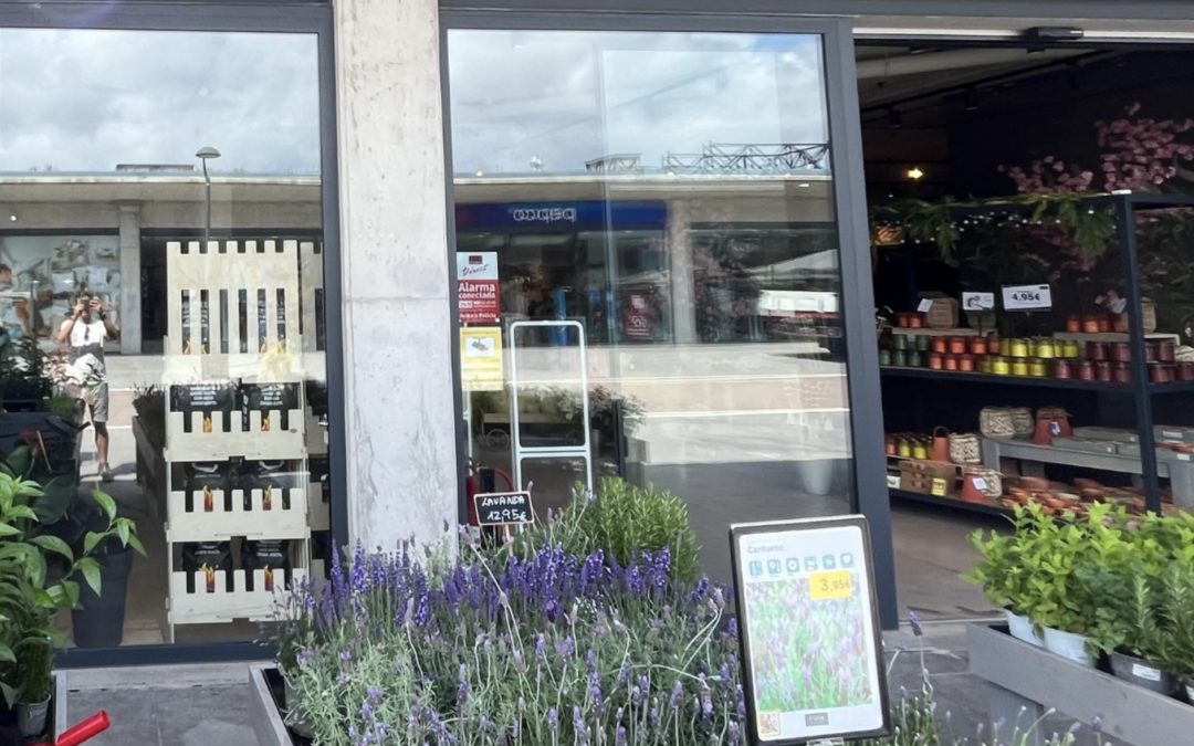 Passi Urban Garden: floristeria i garden center de referència a Premià de Mar i el Maresme
