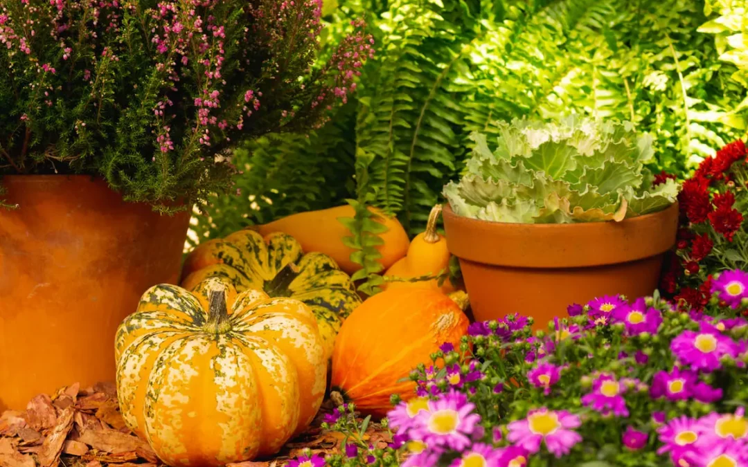 Plantes de temporada a finals de setembre: consells i idees per al teu jardí i llar